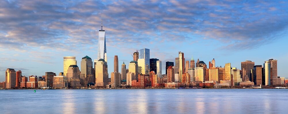 New York Gallery Landscape 
