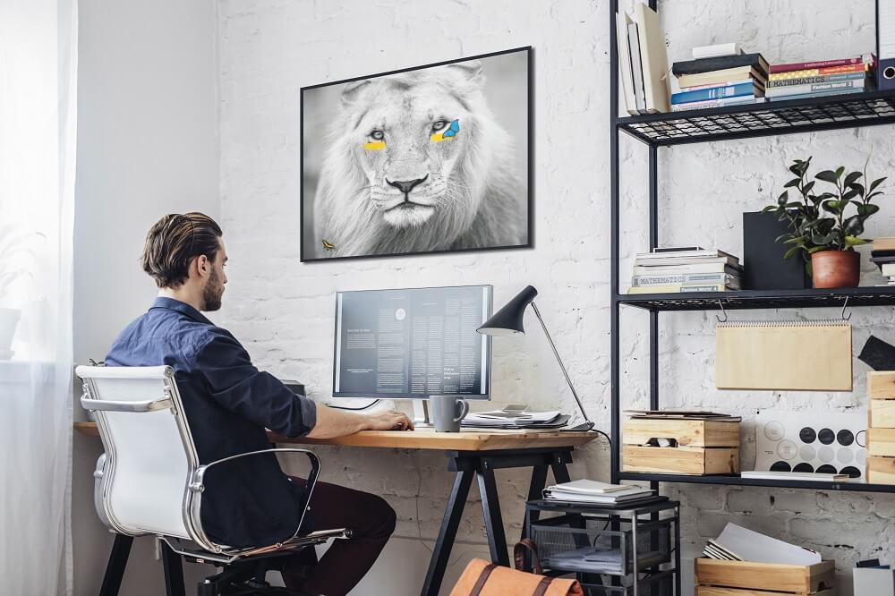 Office Art - Sn